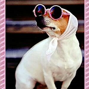 Breakfast at Sniffany's